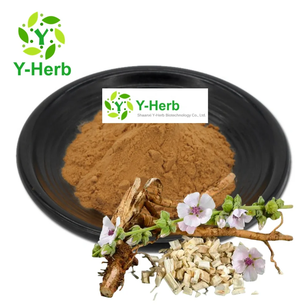 Althaea Officinalis L. P.E. Dried Marshmallow Root Powder 10:1 Yao Shu Kui/Marshmallow/Althaea Officinalis Extract