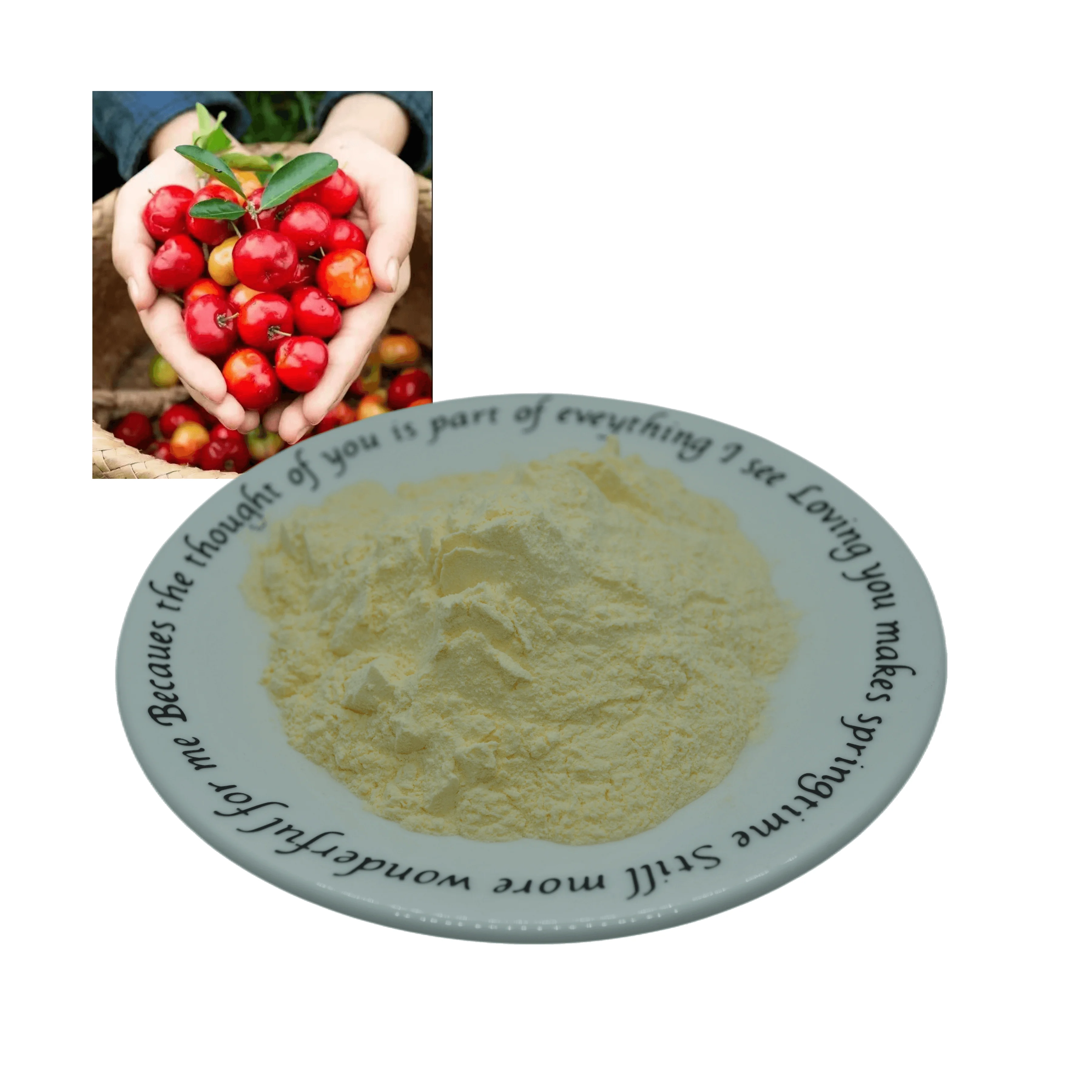 Vitamin C and SOD Acerola Cherries Powder Factory Supply Acerola Cherries 3062 Fruit Juice Powder