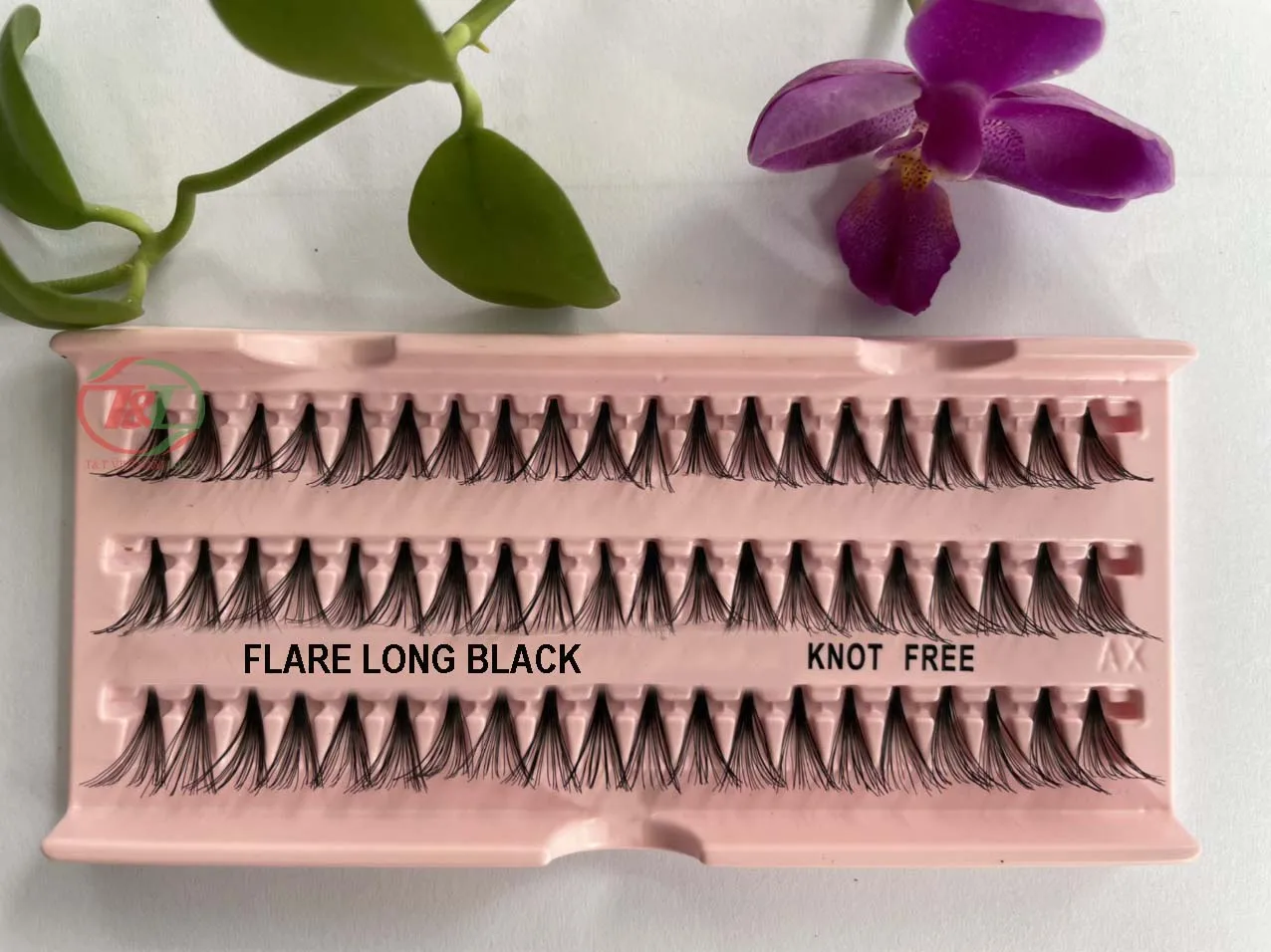 Vietnam wholesale premium quality lash tray eyelashes flare eyelash knot free individual faux eyelashes