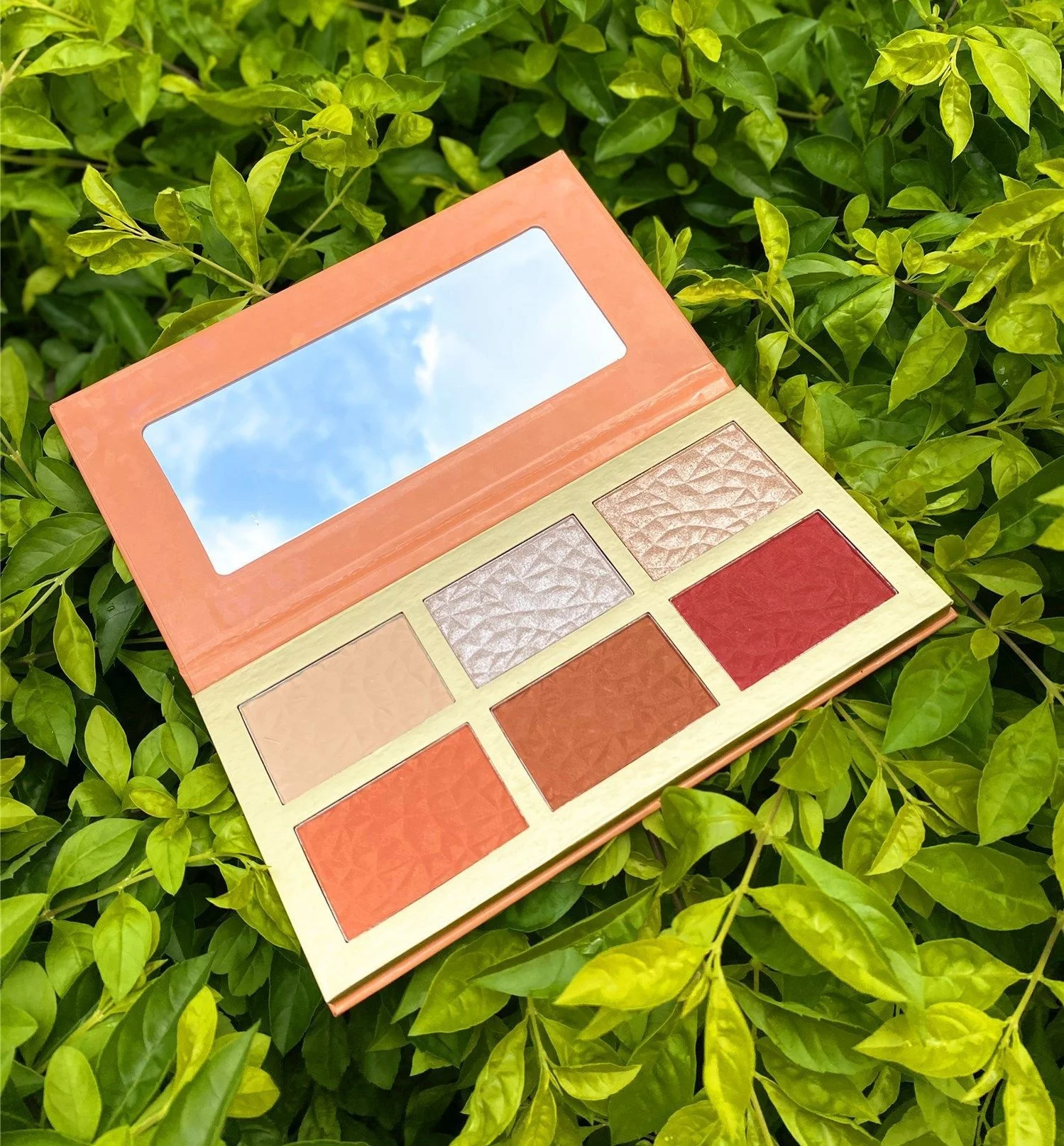 Custom Vegan Blush Palette Wholesale Blush Highlighter Makeup Palette Waterproof Blush Palette With Highlight
