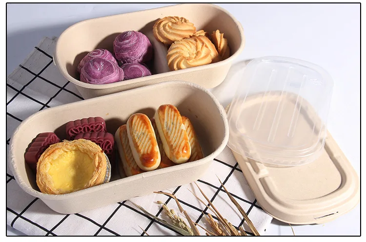 K&B ODM/OEM catering office microwave safe 2 compartments take away disposable bento lunch box