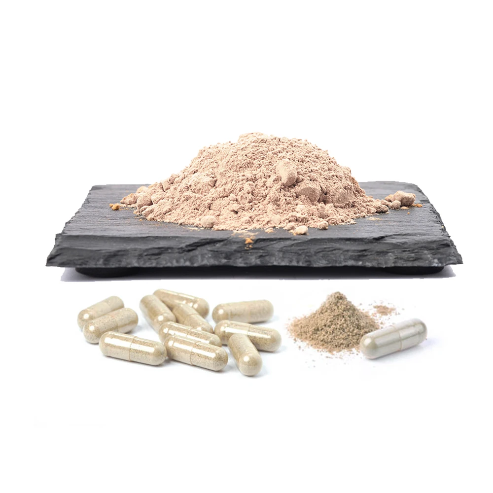 OEM Private Label Supports Energy Supplement -  Herbal Mushroom Capsules with Oyster Extract