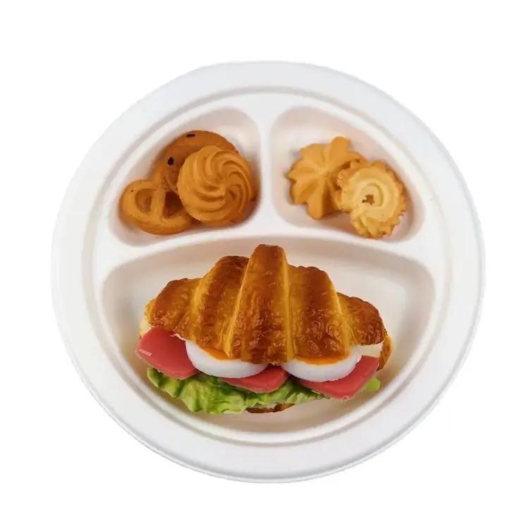Biodegradable Plate Disposable Sugar Bagasse High Quality Dishes & Plate Food Grade Take Out Dinner Plate