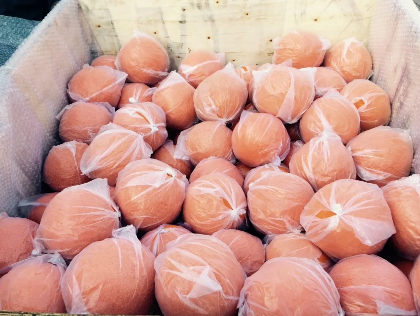 natural rubber material 8inch pipe cleaning sponge ball CIFA spare parts