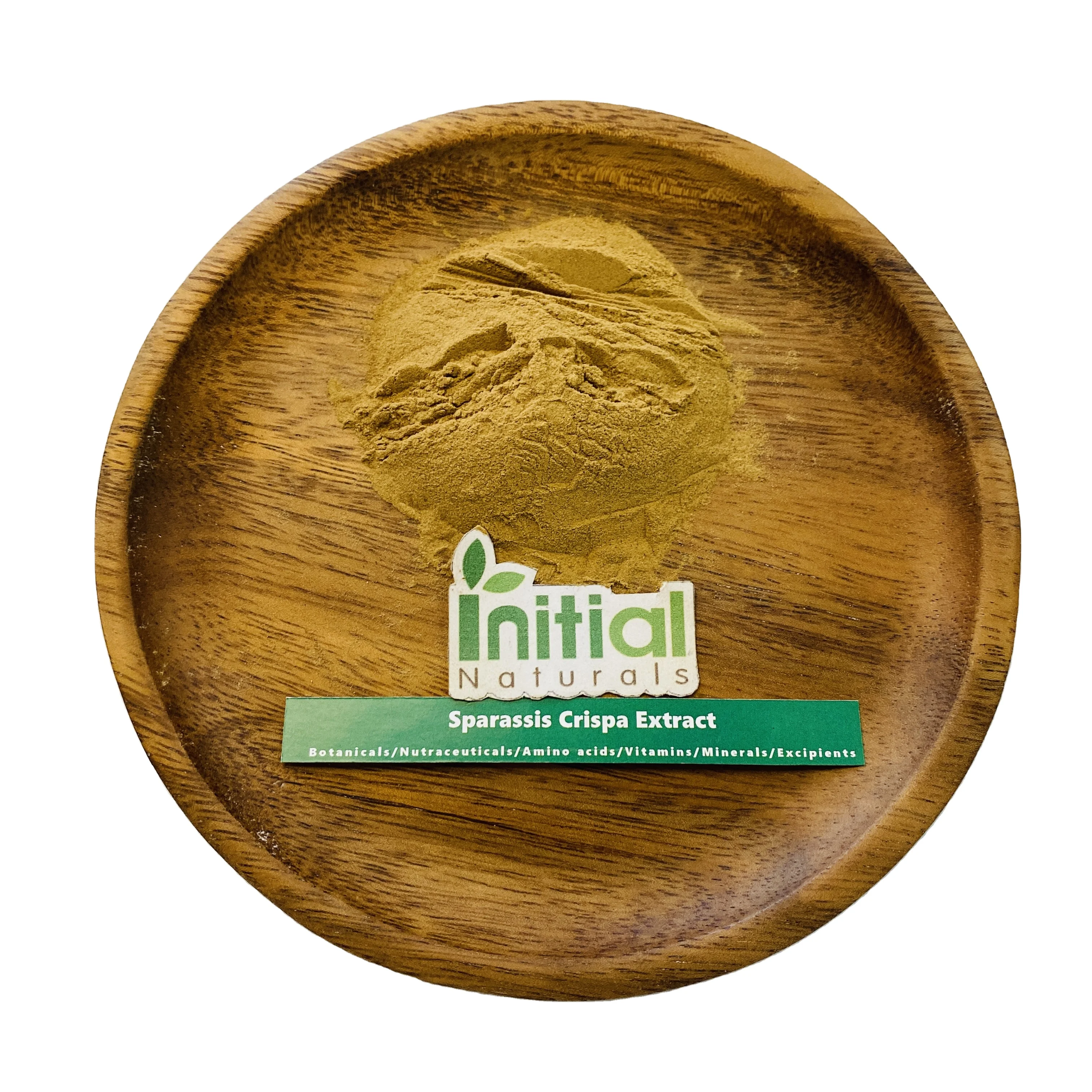 Sparassis crispa экстракт 50% полисахаридов Sparassis crispa порошок Начальная естественная поставка