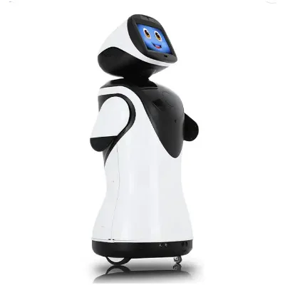 Micity Robot 2023 Humanoid smart service reception robot Educational Walking Dancing Speaking Programmable Smart AI Robot