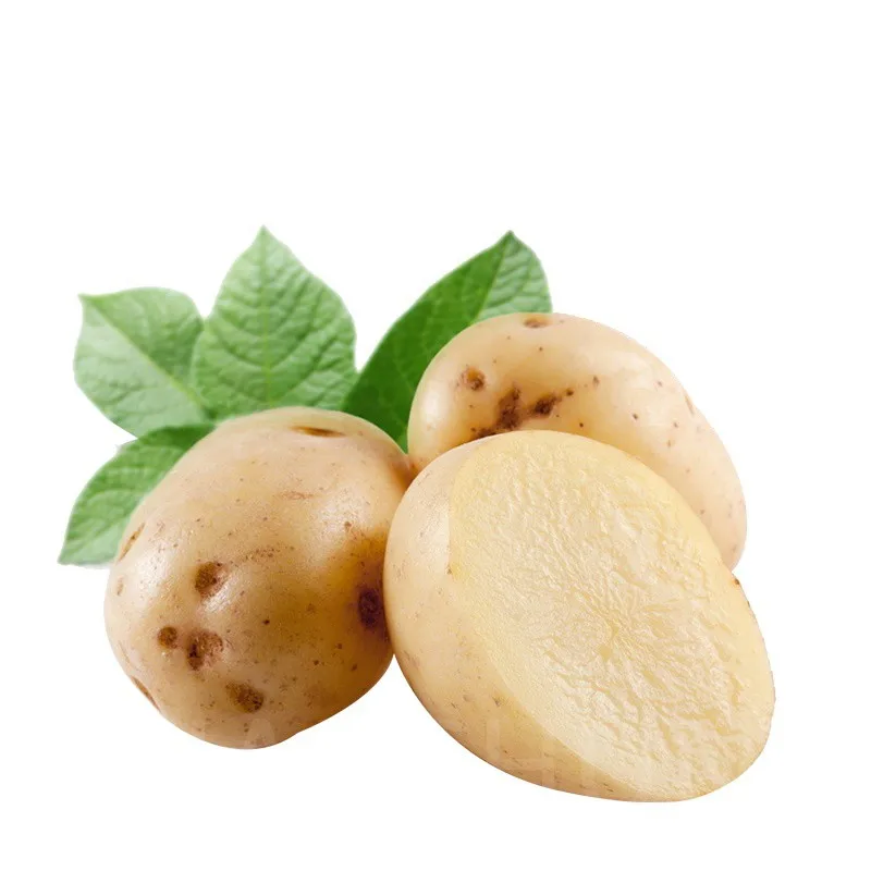 Sweet Fresh Holland Potato Seeds 2021 Price,TSPT22, sweet potato, Fresh Potato Price, Holland Potato Farms