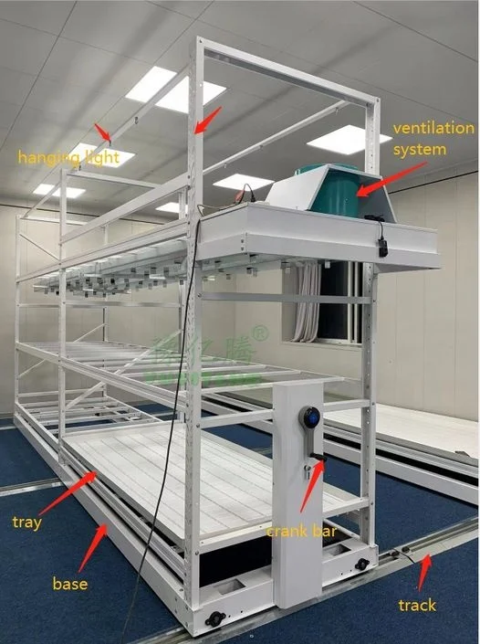 Large Multi-Layer Vertical Hydroponic Grow System Steel Farm Rack for Greenhouse Agriculture