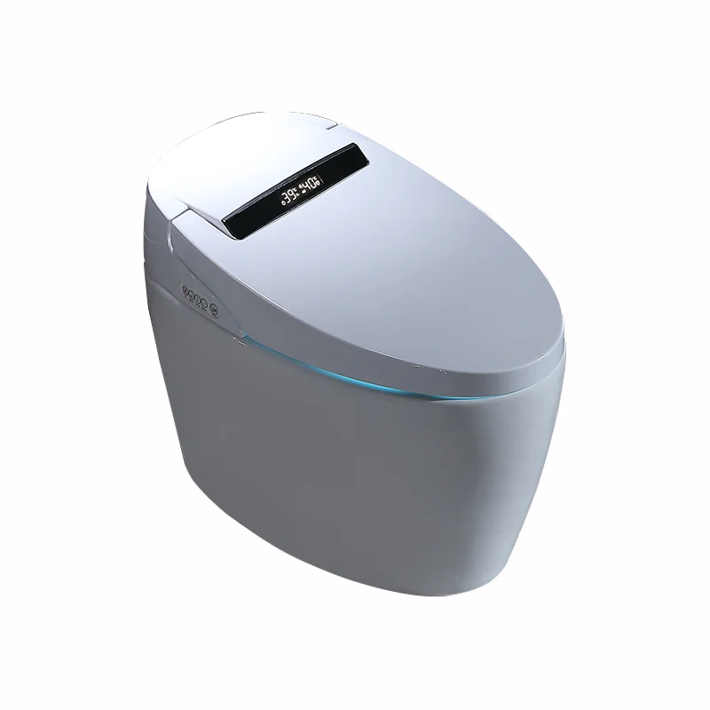 WDSI Automatic Electric Smart Intelligent Toilet Luxury Fashion Modern Sanitary Ware Ceramic Smart Luxury Automatic Toilet