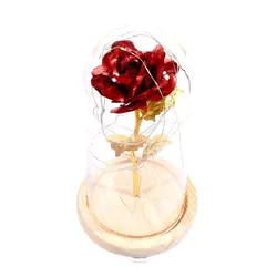 Wholesale Price 24K Gold Foil Roses Galaxy Roses With Led Lamp In Glass Dome For Mothers Day Valentine Day
