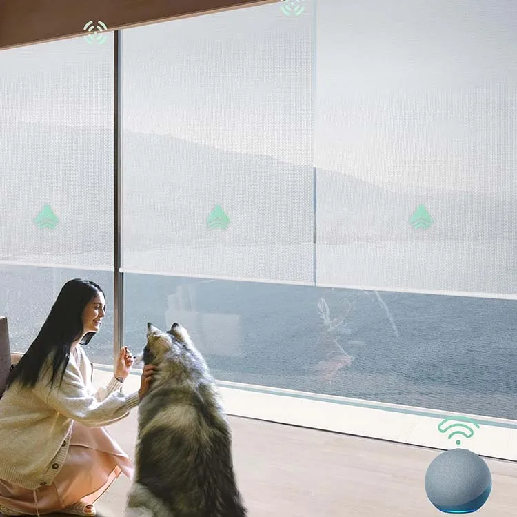 Customized dual sheer motorized automatic electric remote control roller shades blinds windows roller blinds