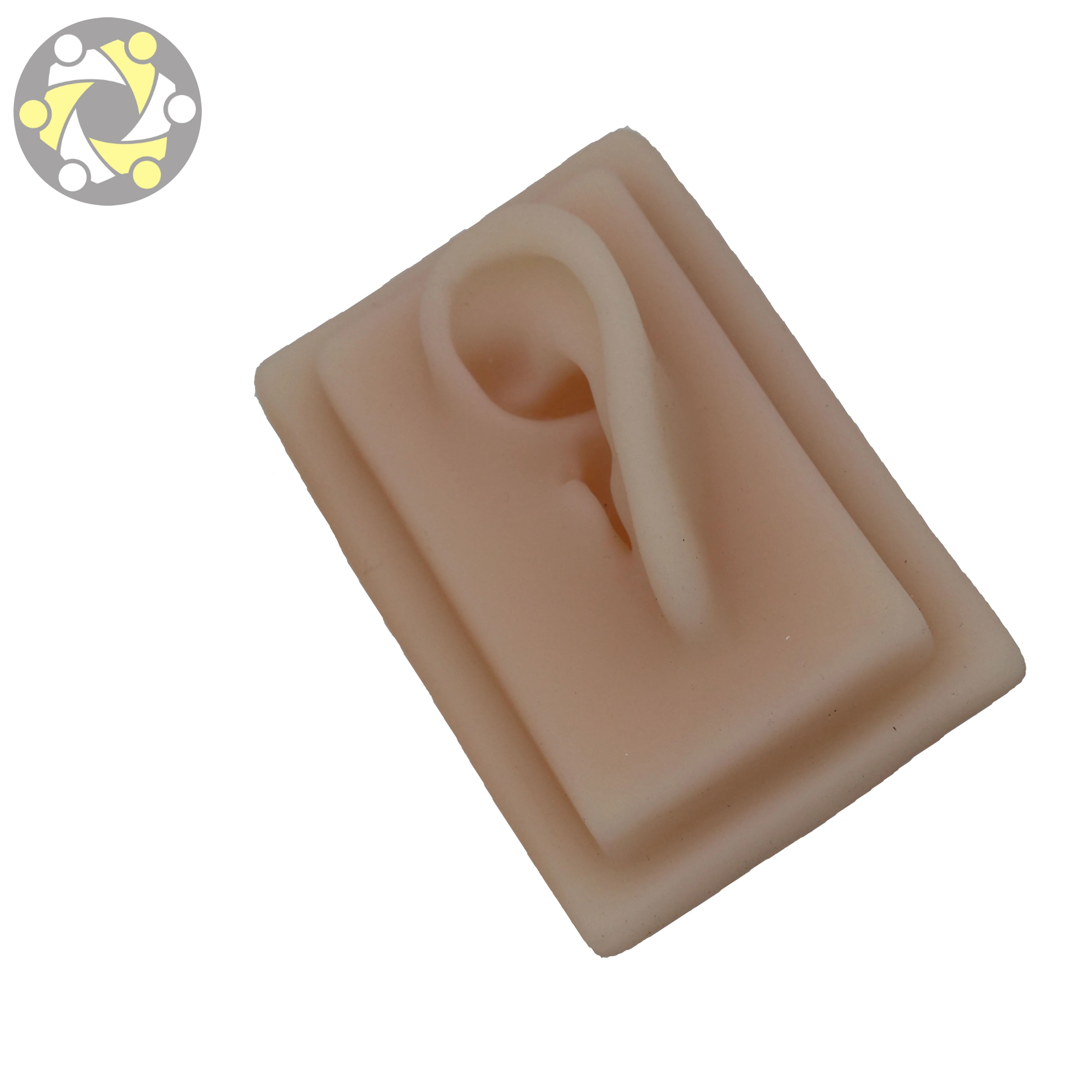 Human Anatomy 3D Flexible Silicone Ear Model Medical Science Training Model
