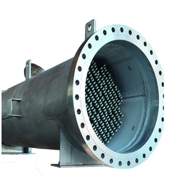 ATEX certificated electric heater immersion