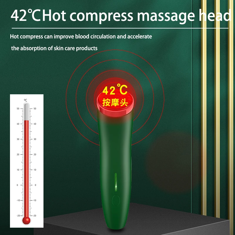 2022 Home Use Beauty Equipment Led Photon Light Therapy Facial Massager Micro Current Ems Sonic Rf Beauty Device Face Massager