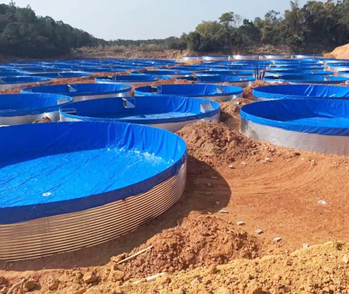 Tilapia Fish Growing Container Tank10000liter Water Tank Fishing Pond Plastic Pond For Fish Farming Tank