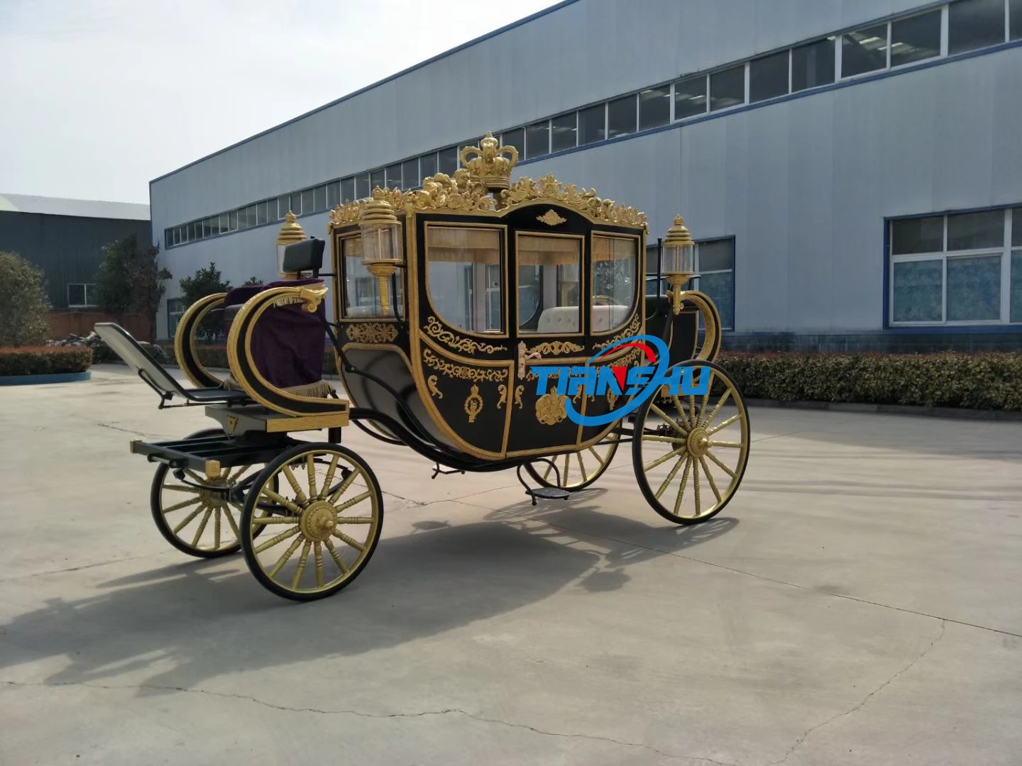 Лидер продаж производитель экскурсионных автомобилей Королевский вагон высшего качества современный Электрический