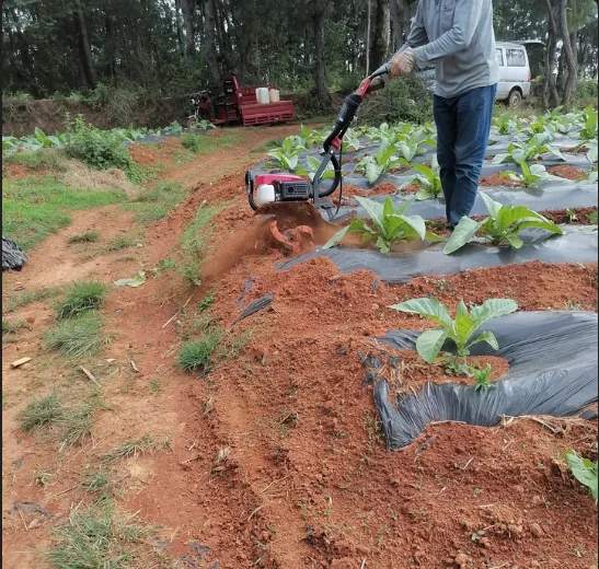 Agricultural Equipment Power Tiller Tiller Cultivator Gasoline Engine