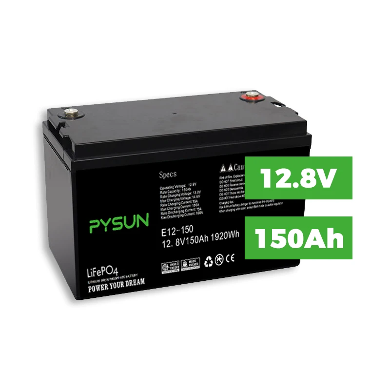 PYSUN Rv Built In Bms 12v 12.8v 50ah 100ah 200ah Solar System Energy Storage Lifepo4 Battery Lithium Ion Batteries Packs