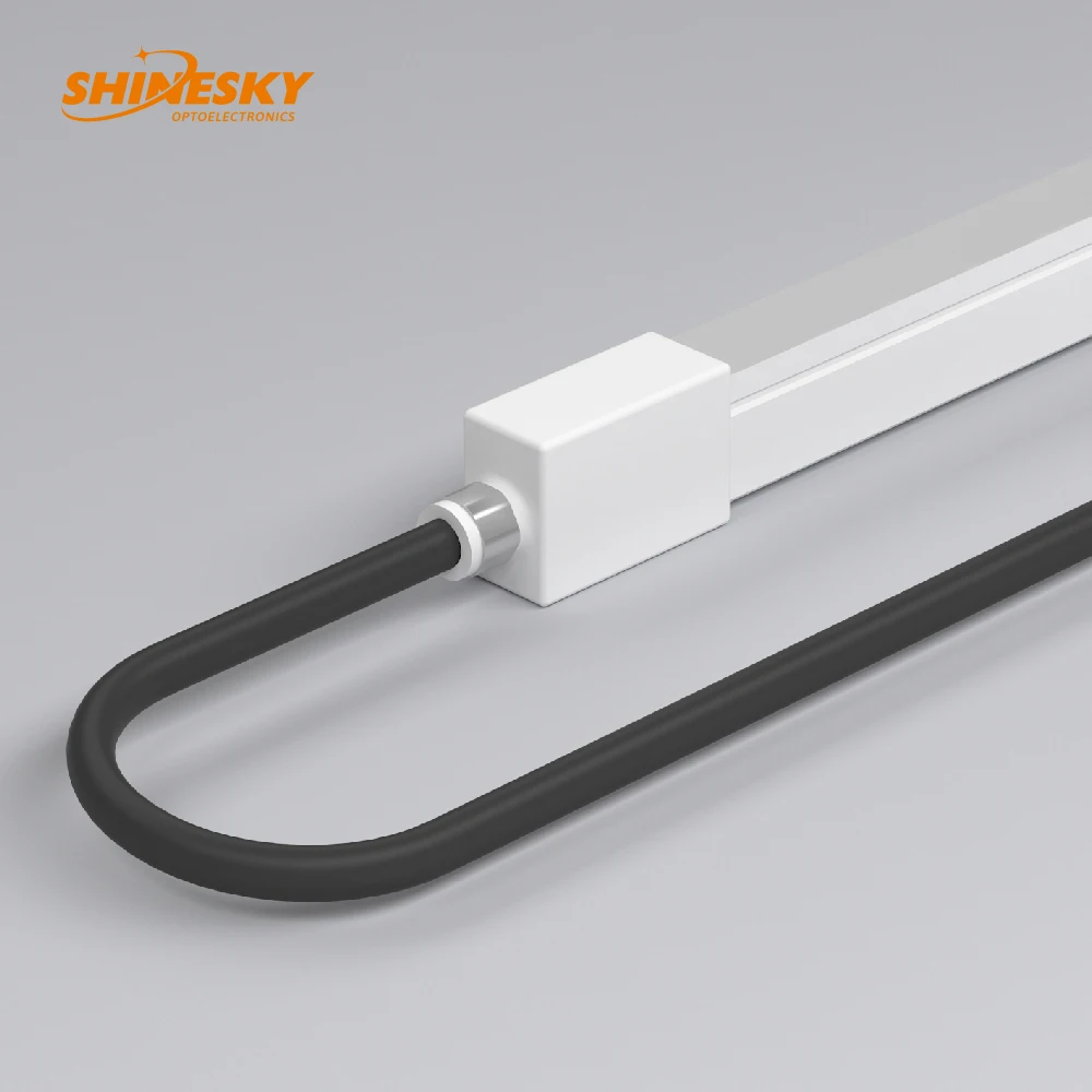 Neon Lighting Ip68 Rgb/Digital Rgb/Single color/CCT1615 Led Neon Strip Neon Led Light Waterproof Outdoor Light For Swimming Pool