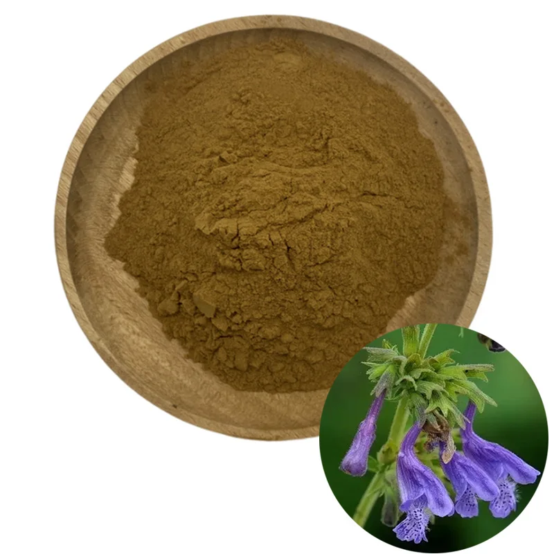 Высококачественный экстракт корня coleus forskohlii 10%
