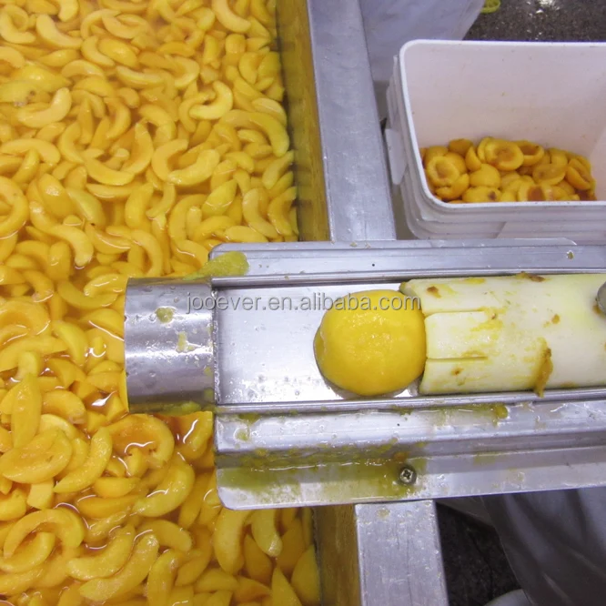 BRC HACCP Certified IQF Frozen Yellow Peach Slices Bulk Packaged