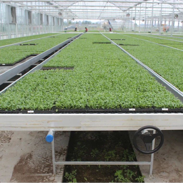 4x8 Ebb Flow System Indoor Hydroponic Culture Movable Rolling Bench Grow Table Seedbed For Plant Growing