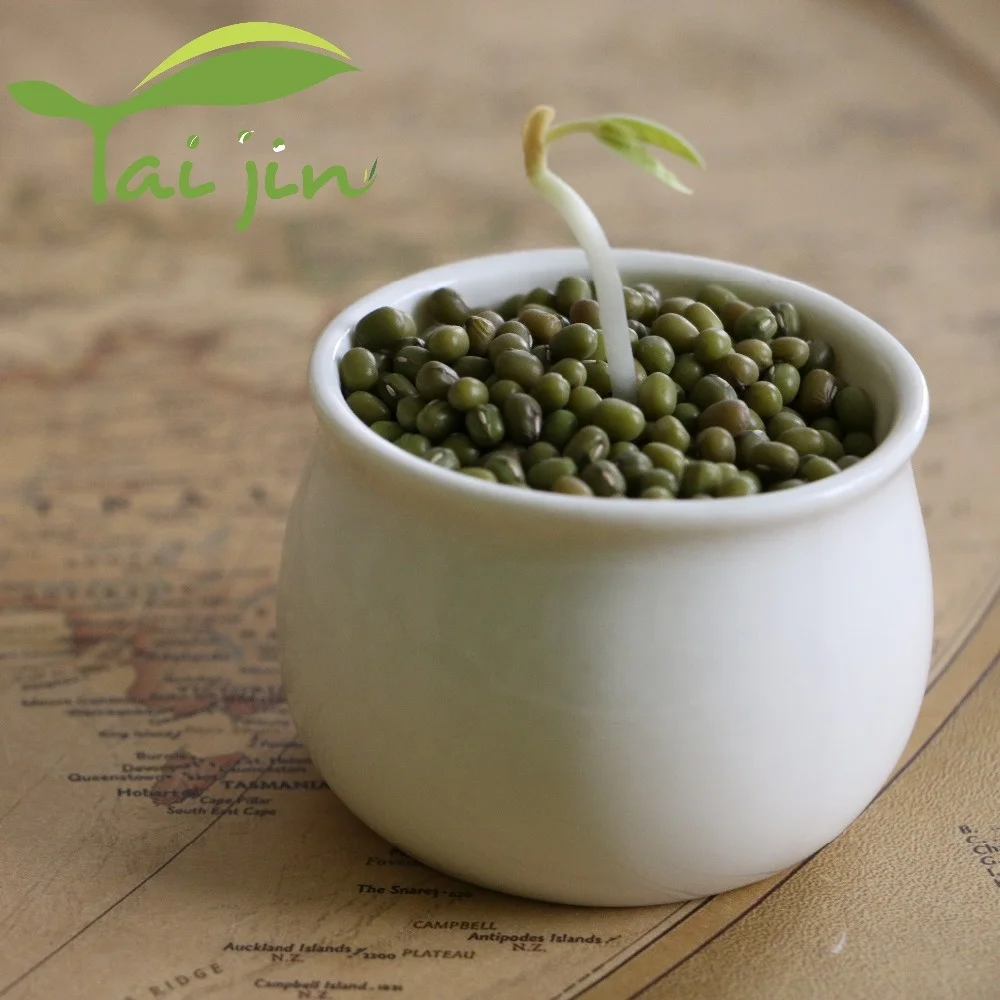 
2017 Crop Supply Green Mung Beans for Food Moong Dal 