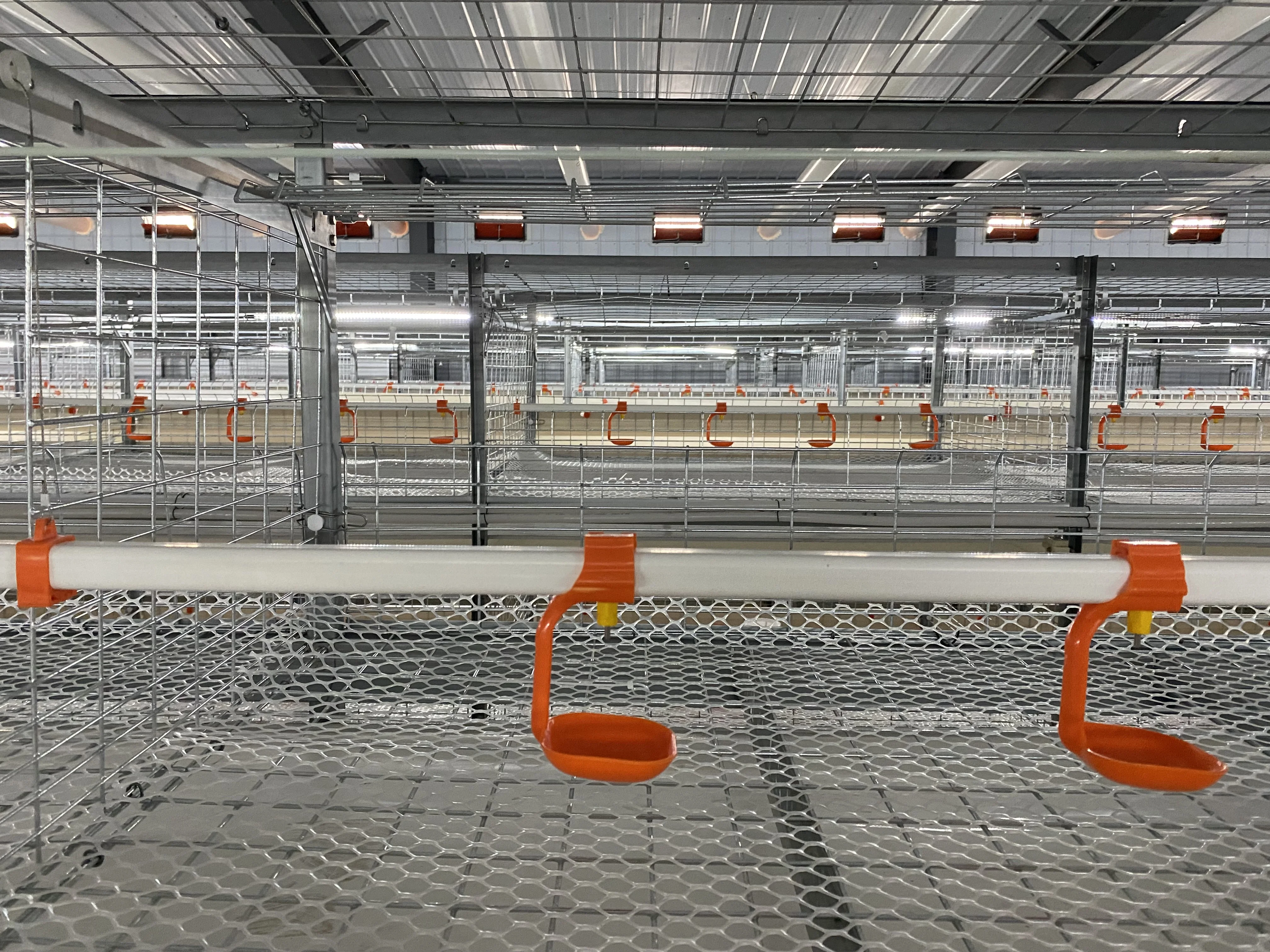 Poultry Farming Automatic Breeding Rearing Battery Chicken Cage for Broiler