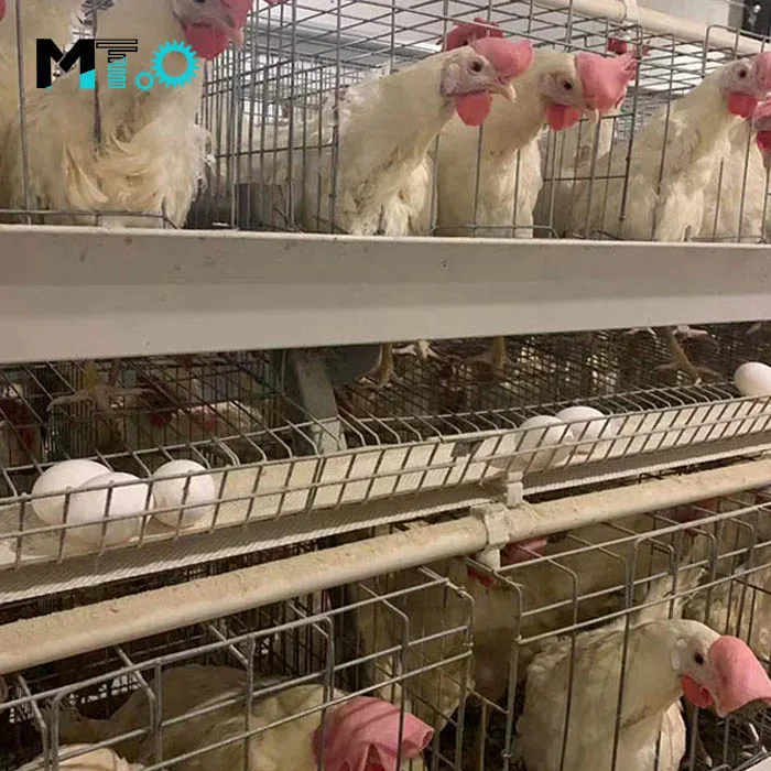 Полностью автоматическая куриная клетка для птицы с автоматической системой промывки воды, изготовленная по технологии роботизированной сварки