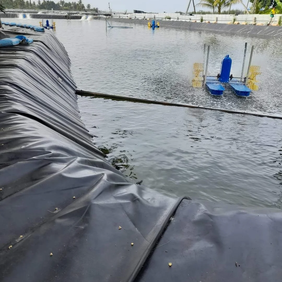 Cheap Price HDPE Geomembrane / Pond Liner  For Biogas / Salt / fish farm / dam / reservoir