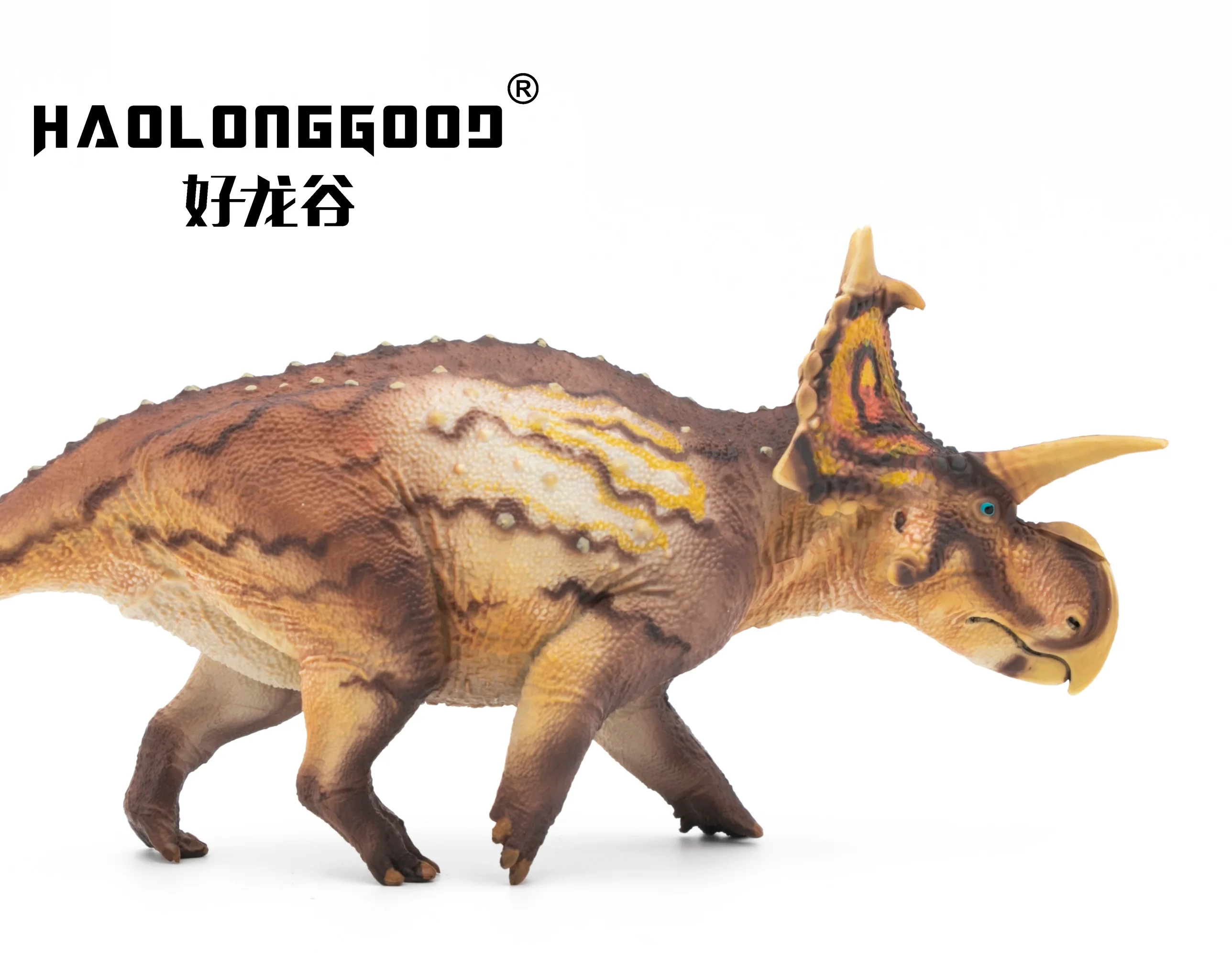 Haolonggood Xenoceratops Most Popular Plastic Dinosaur Figure World prehistory Animal Toy Set Cool Gift Birthdays Christmas