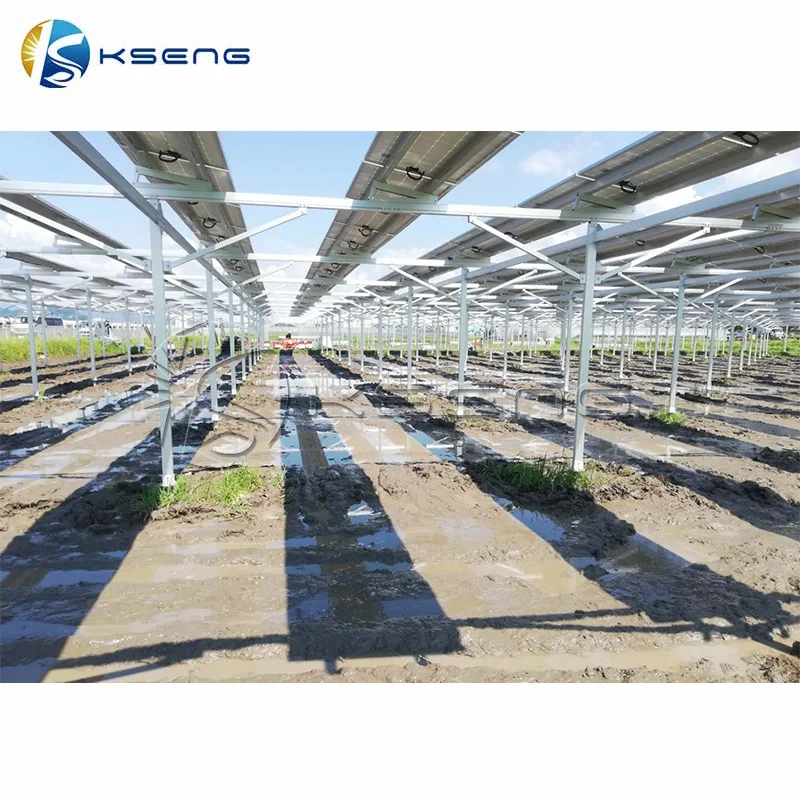 1 MW Solar Farm Agricultural System Solar PV Mounting System Solar Power Farm