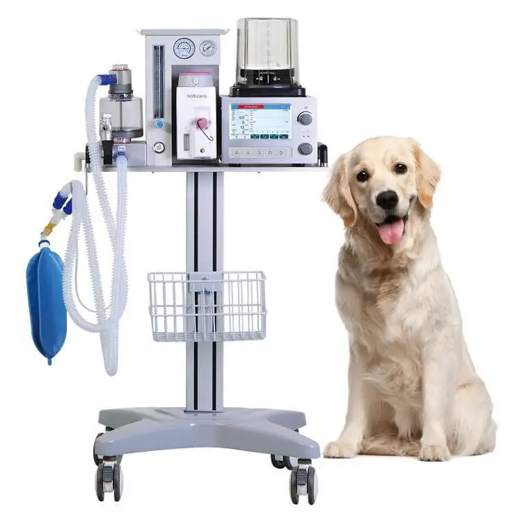 First Doctor Medical Equipment Veterinary Ultrasound animal clinic use  Anesthesia Machine DM6B