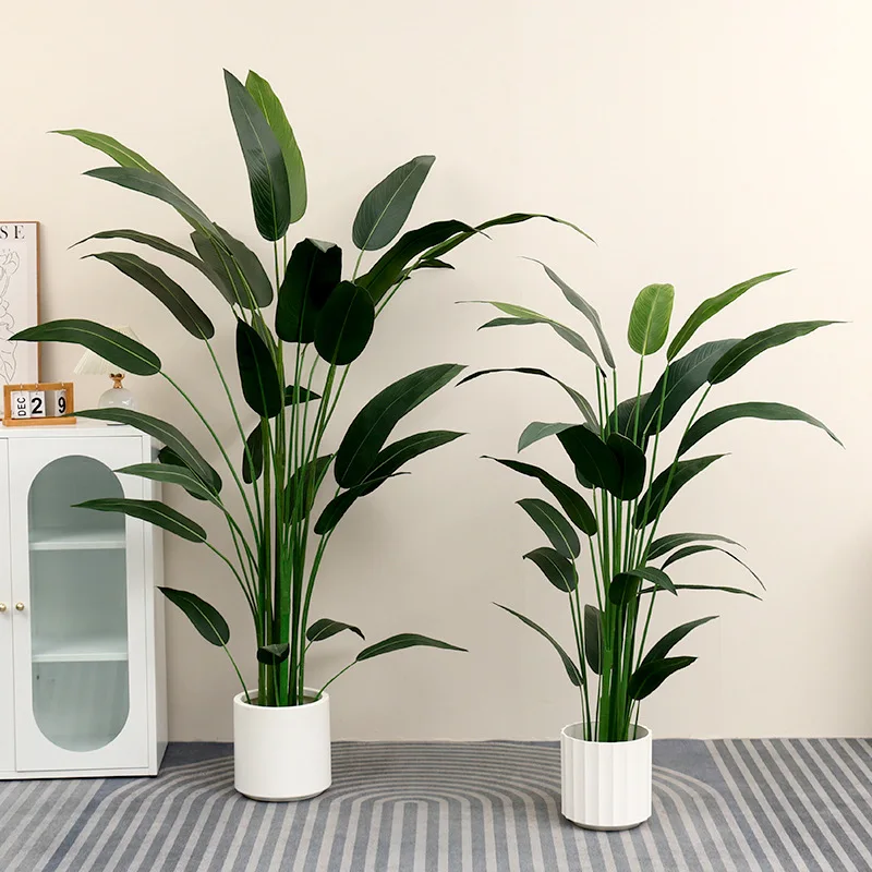plants11