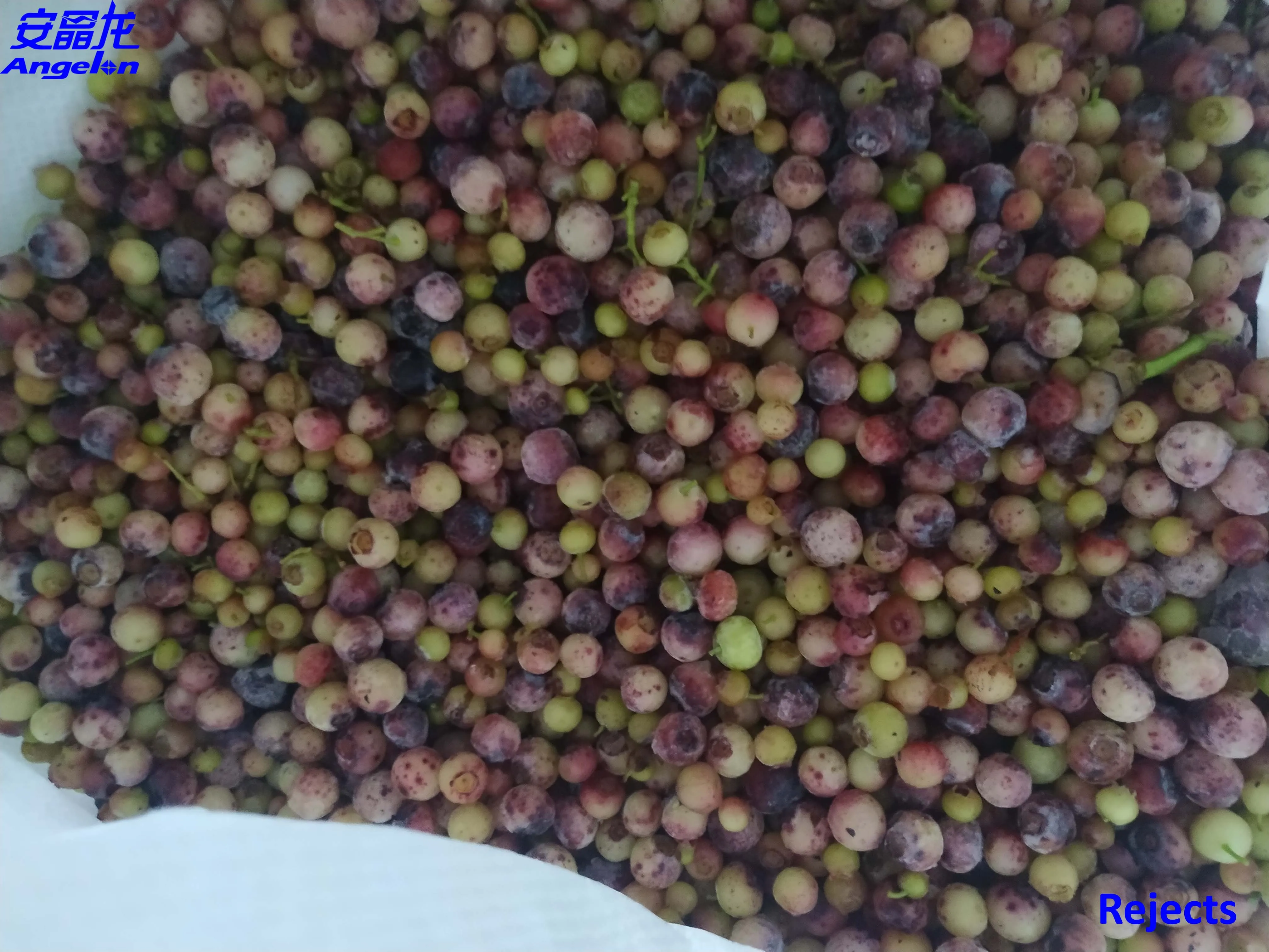 Dehydrated dried vegetables CCD new belt type color sorter