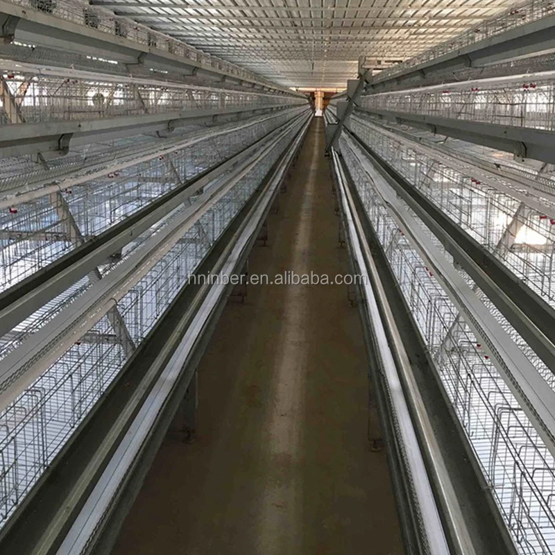 Good Price Automatic Egg Layer Chicken Farm Laying Hens Poultry Battery Cages for Sale