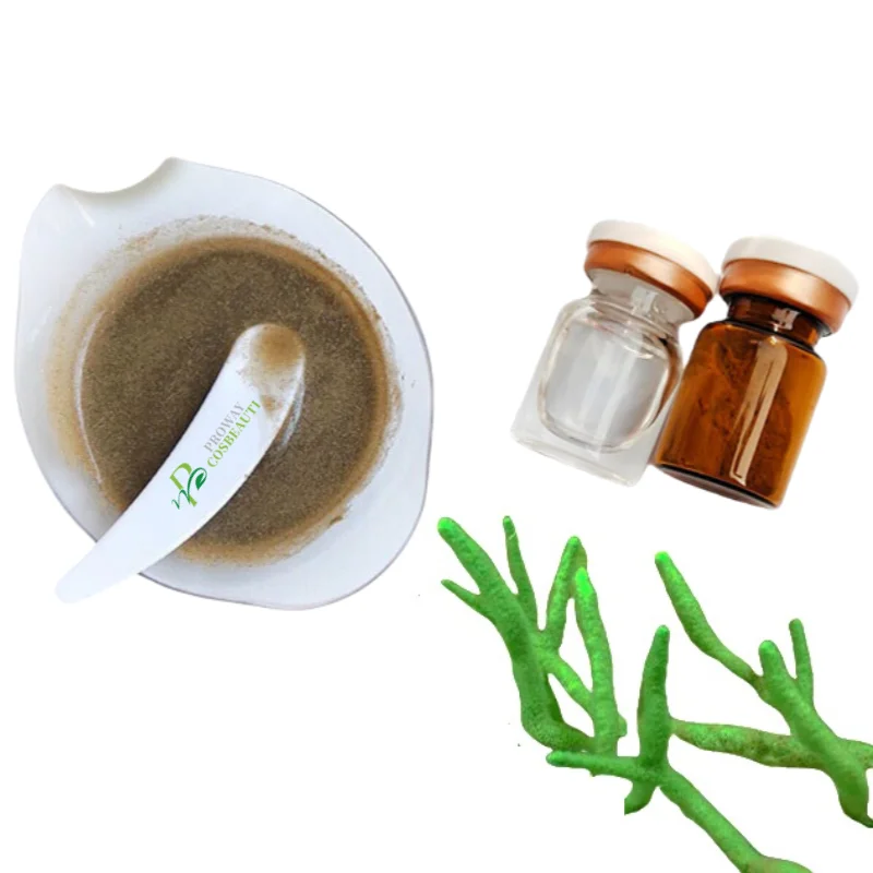 Cheap Wholesale spicule peeling algae peeling powder skin renew natural seaweed powder algae peel powder 10 pairs