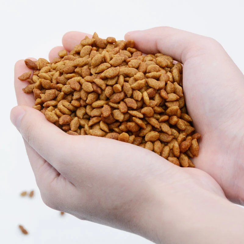 Cheap And High Quality Fresh Diel Full Price Cat Dry Food 10kg High Protein Nutritional Freeze Dried Pet Food