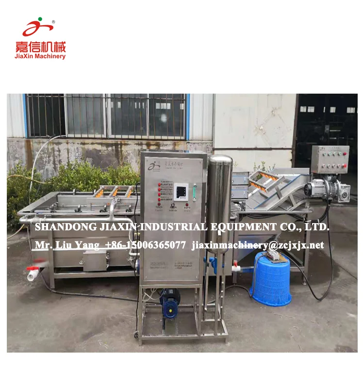 
304 stainless steel small fruits and vegetable washing sorting machine 