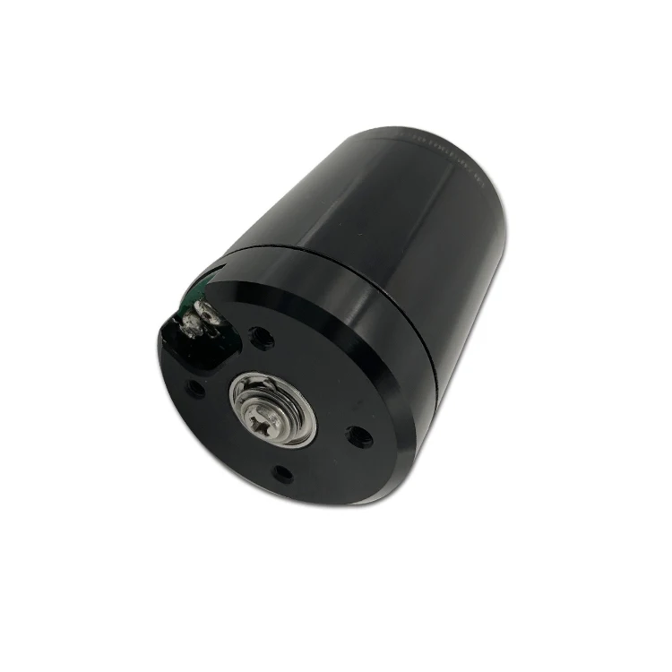 SUBFF Latest Design Electric DC 24V 48V  BLDC Motor Used for Boat Black High Power 500W For Rov Subsea