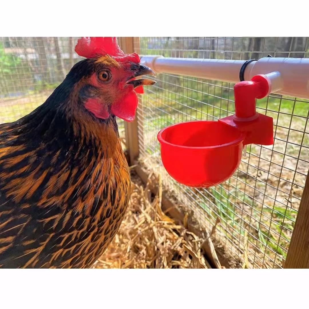 Livestock Automatic Chicken Farming Plastic Water Bowl Nipple Chicken Drinkers