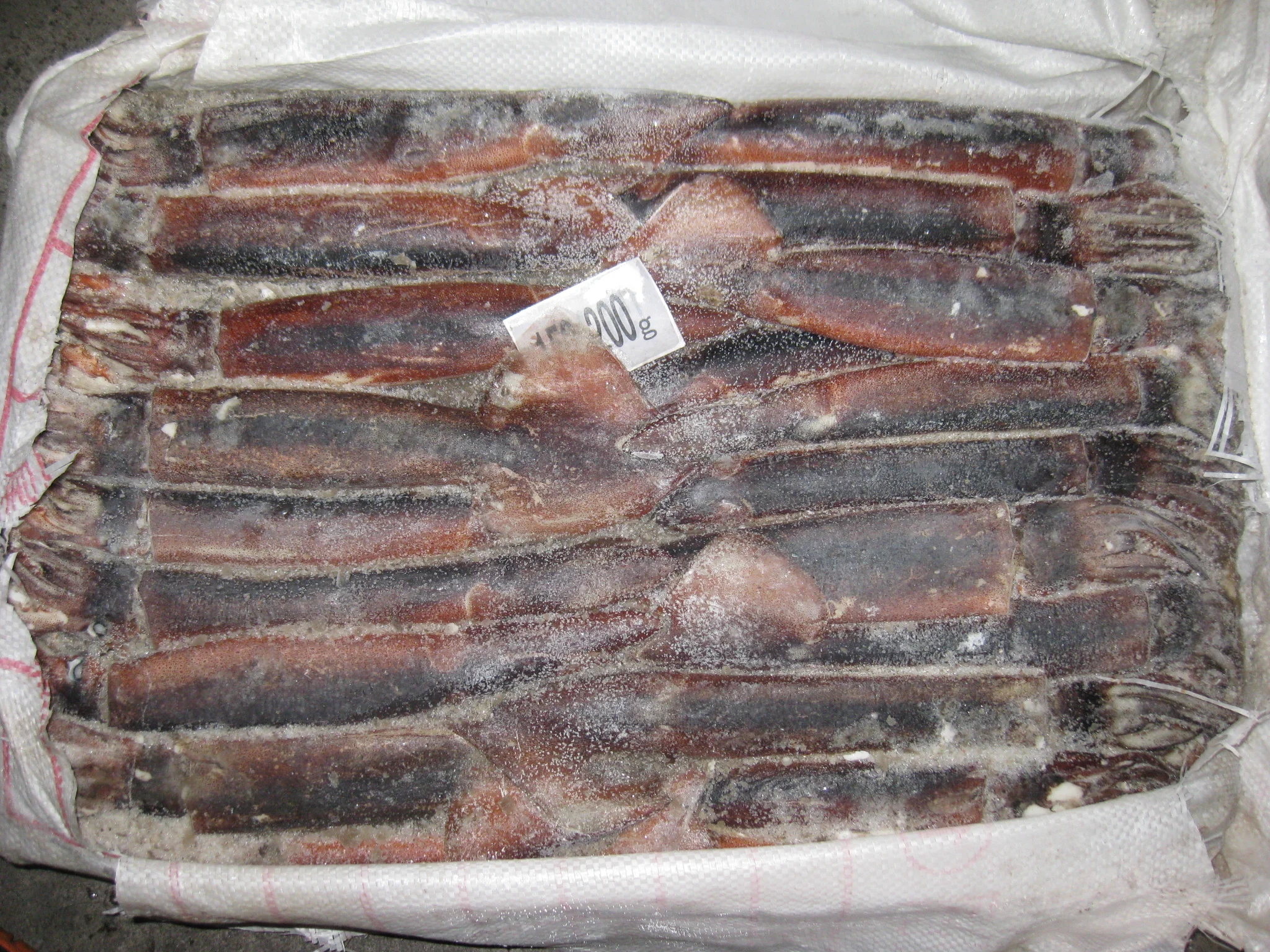 Seafood Supplier  Frozen Illex Argentina Squid 200-300g