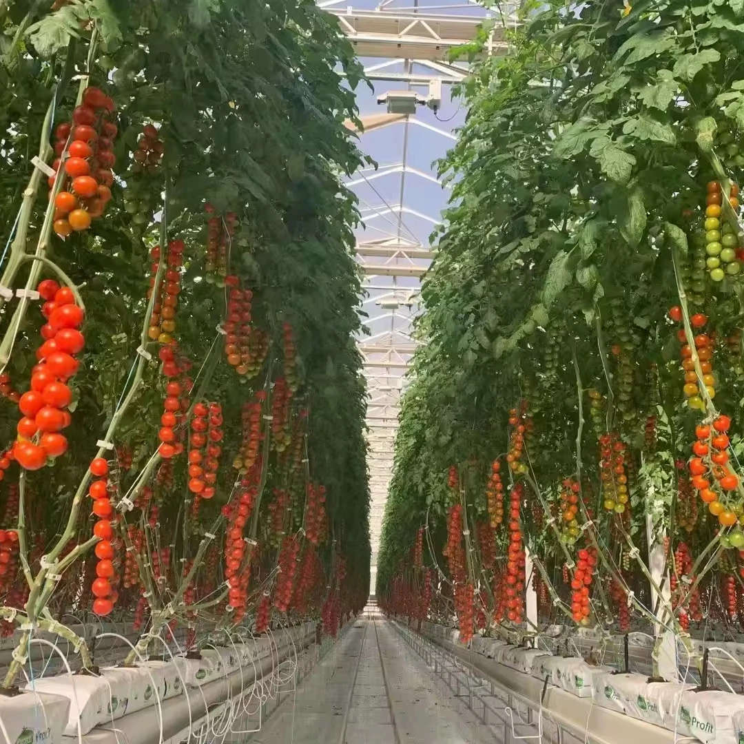 Custom Multi Tier Indoor Cultivation Plant Led Grow System Movable Rolling Vertical Farming Mobile Grow Rack System