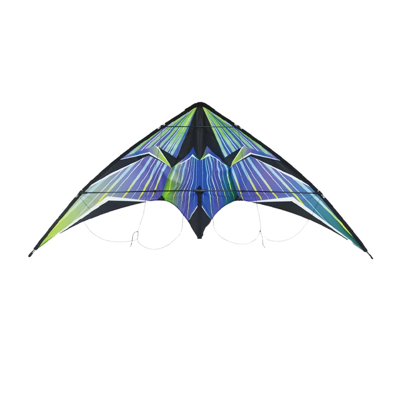 customized  professional good quality sport kites dual line wholesale delta shape kite