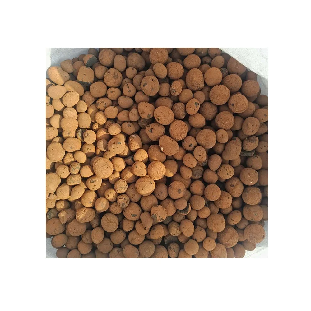 Color Solid Ceramsite Color Expanded Clay Pebbles Pellets Grow Media Orchids Succulent Plant Hydroponics Bonsai Decor Of Orchid