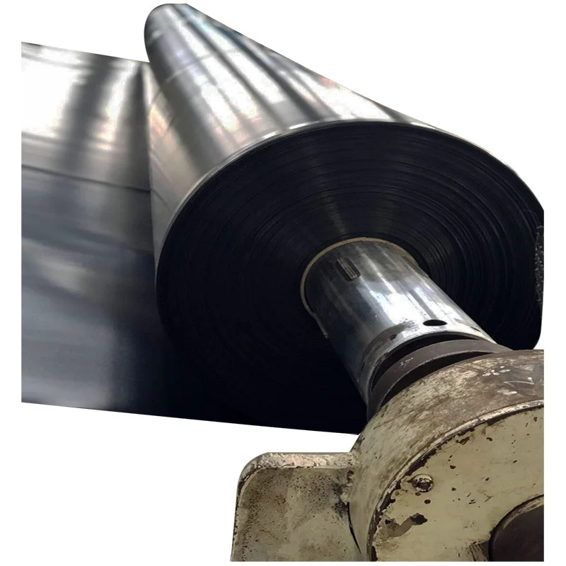 High Quality HDPE Geomembrane Outdoor Fish Farms Swimming Pools Landfills Industrial PE/EVA/LDPE Material-World-Wide Popular