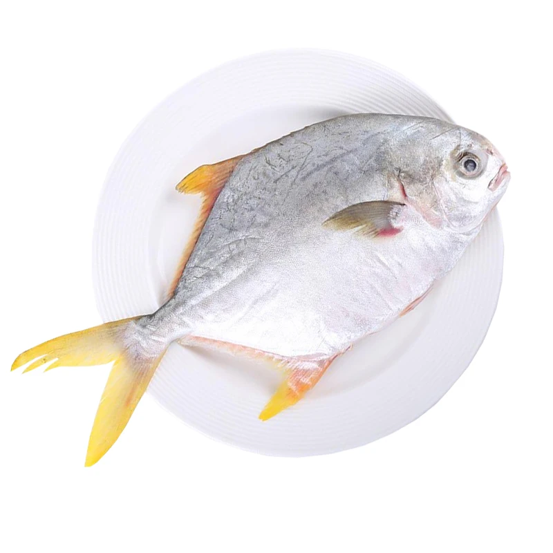 Золотой поставщик alibaba, замороженный Золотой помлад, цельный круглый