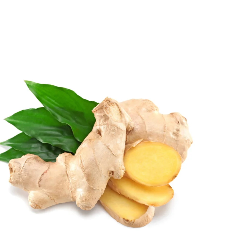 Wholesales New Fresh Ginger 40-600 cm in length Competitive Price Vietnamese Manufacturer Quality Small MOQ Samples Available