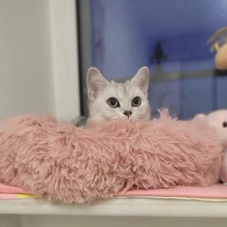 Высокое качество, кровать для кошек, новый дизайн, мягкая кровать для маленьких собак, моющаяся круглая кровать для домашних животных, кровати и аксессуары, кровать и коврик, чехлы для сна для домашних животных