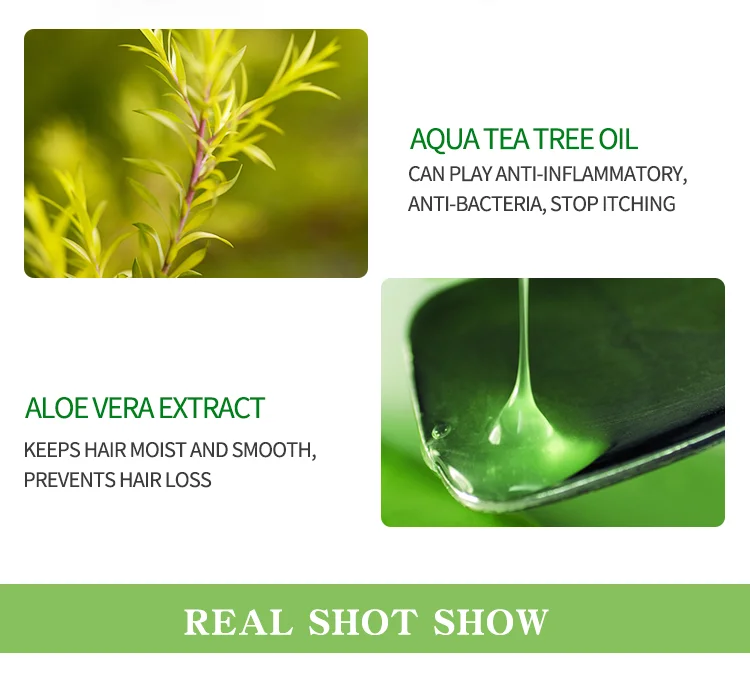 
OEM DAAO Hot Selling Natural Organic Tea Tree Shower Gel Deep cleaning Moisturizing Tea Tree Shampoo And Conditioner 